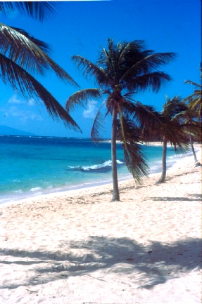 Capesterre Beach, Guadeloupe